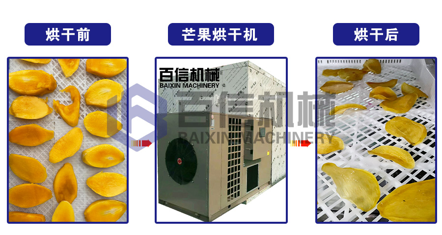 芒果烘干機